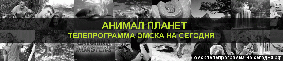 Телепрограмма на сегодня канала Анимал Планет, Омск