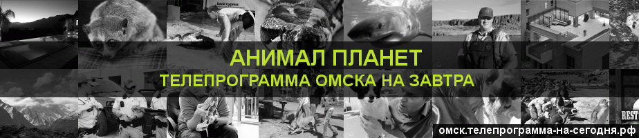 Телепрограмма на завтра канала Анимал Планет, Омск