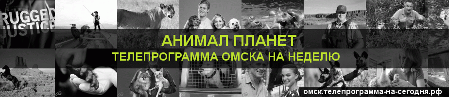 Телепрограмма на неделю канала Анимал Планет, Омск